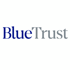 Blue Trust Digital Lightbridge.png